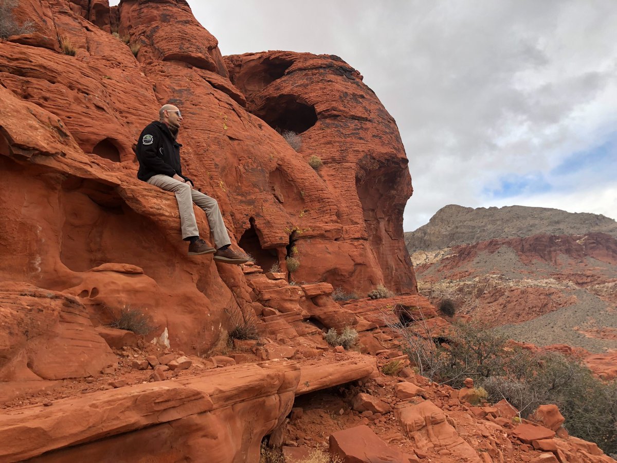 OriginsHabitabilityLab tweet media