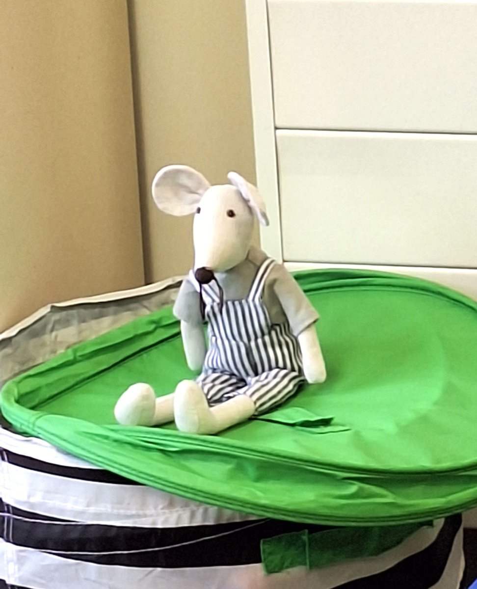 📚️Our Lower Prep children have been celebrating Non Fiction November. The theme this year is 'Why don't you?' Our wonderful librarian Mrs Mee will be sharing many new books with the children during the month with the help of her special friend, Library Mouse 🐭🐭🐭