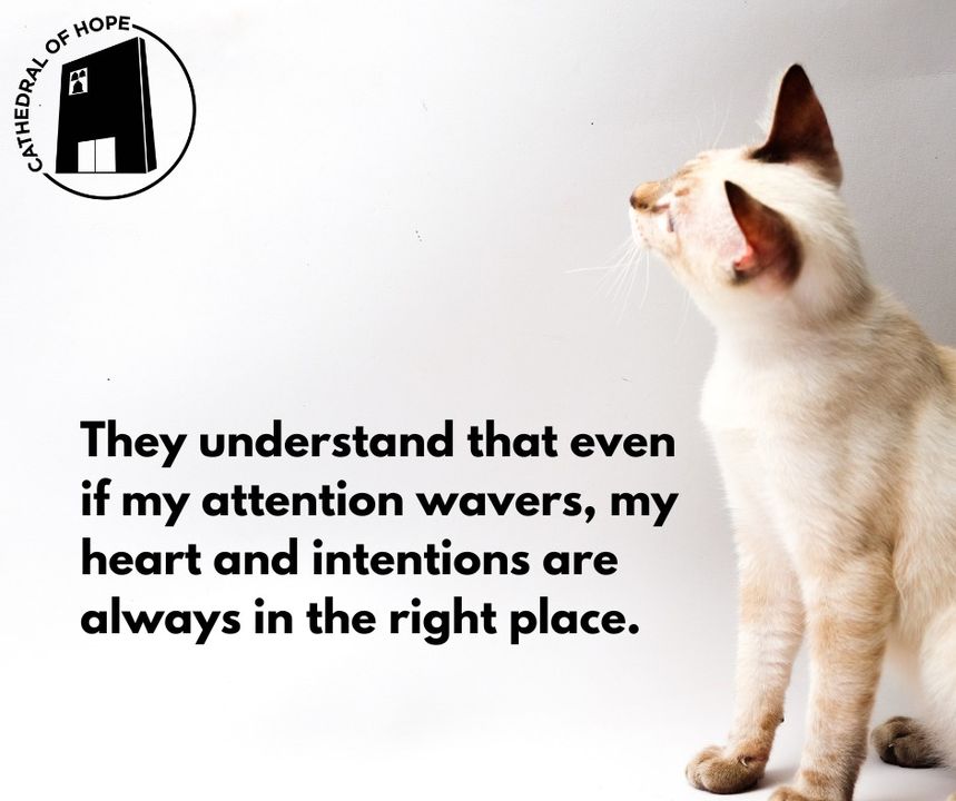 Cathedral Of Hope tweet media