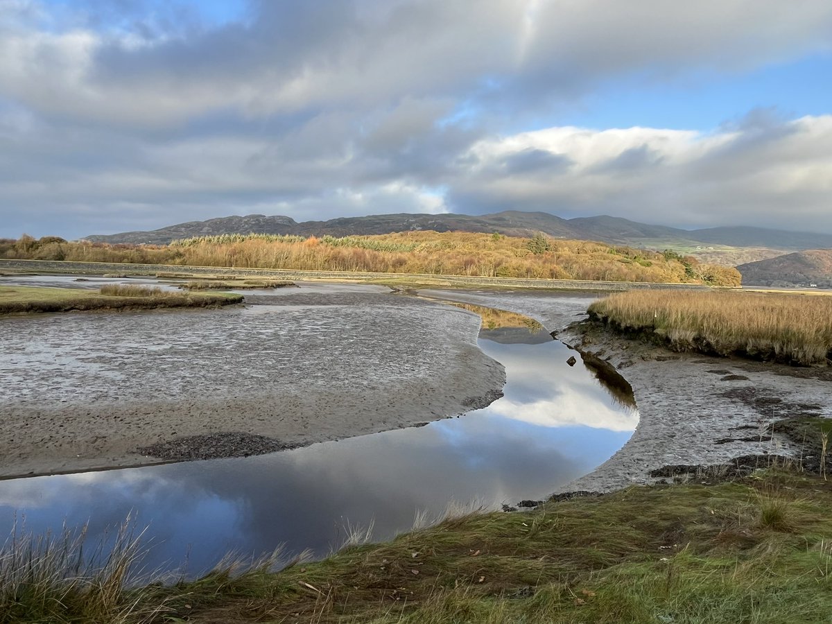 A glimpse into our morning walk along the #mawddachtrail alongside the #barmouthestuary 🥰