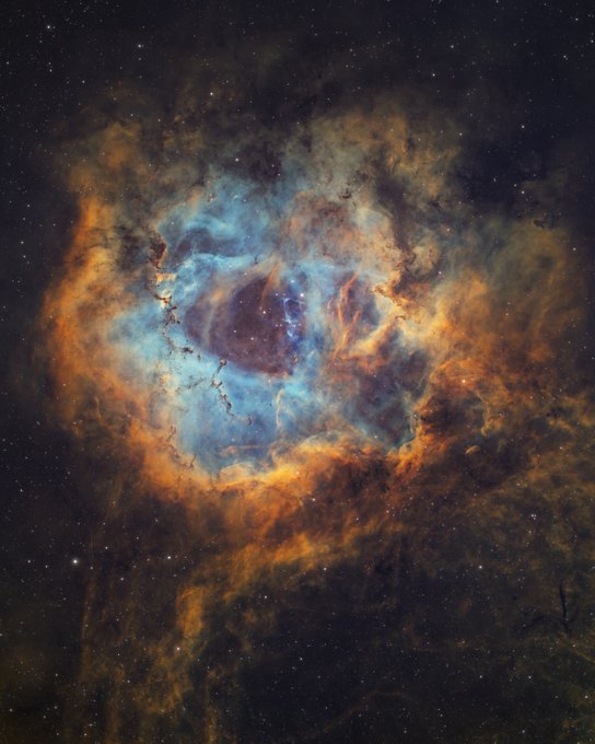 The Rosette Nebula