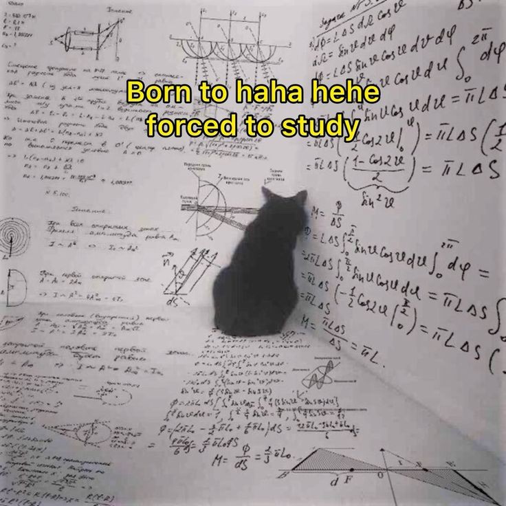 forced to study 😔