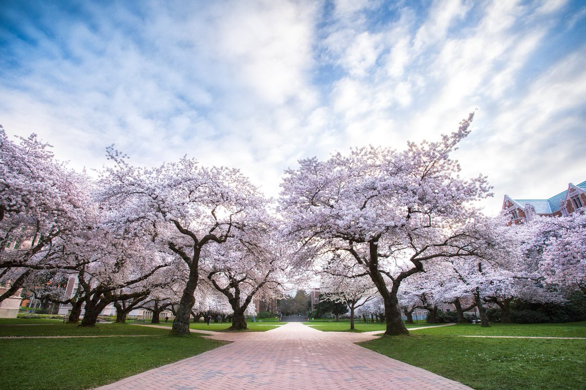 Tim Althoff (@timalthoff) on Twitter photo (reshare) I'm recruiting PhD students <a href="/uwcse/">Allen School</a> <a href="/uwnlp/">UW NLP</a>
(bdata.uw.edu). Focus areas incl Human-AI collaboration, language agents, LLM safety & applications to mental health, social sciences, education. Apply here: cs.washington.edu/academics/phd/…
<a href="/uwdatascience/">UW Data Science</a>
@UW_iSchool
<a href="/uwdub/">HCI & Design at UW</a> (reshare) I'm recruiting PhD students <a href="/uwcse/">Allen School</a> <a href="/uwnlp/">UW NLP</a>
(bdata.uw.edu). Focus areas incl Human-AI collaboration, language agents, LLM safety & applications to mental health, social sciences, education. Apply here: cs.washington.edu/academics/phd/…
<a href="/uwdatascience/">UW Data Science</a>
@UW_iSchool
<a href="/uwdub/">HCI & Design at UW</a>