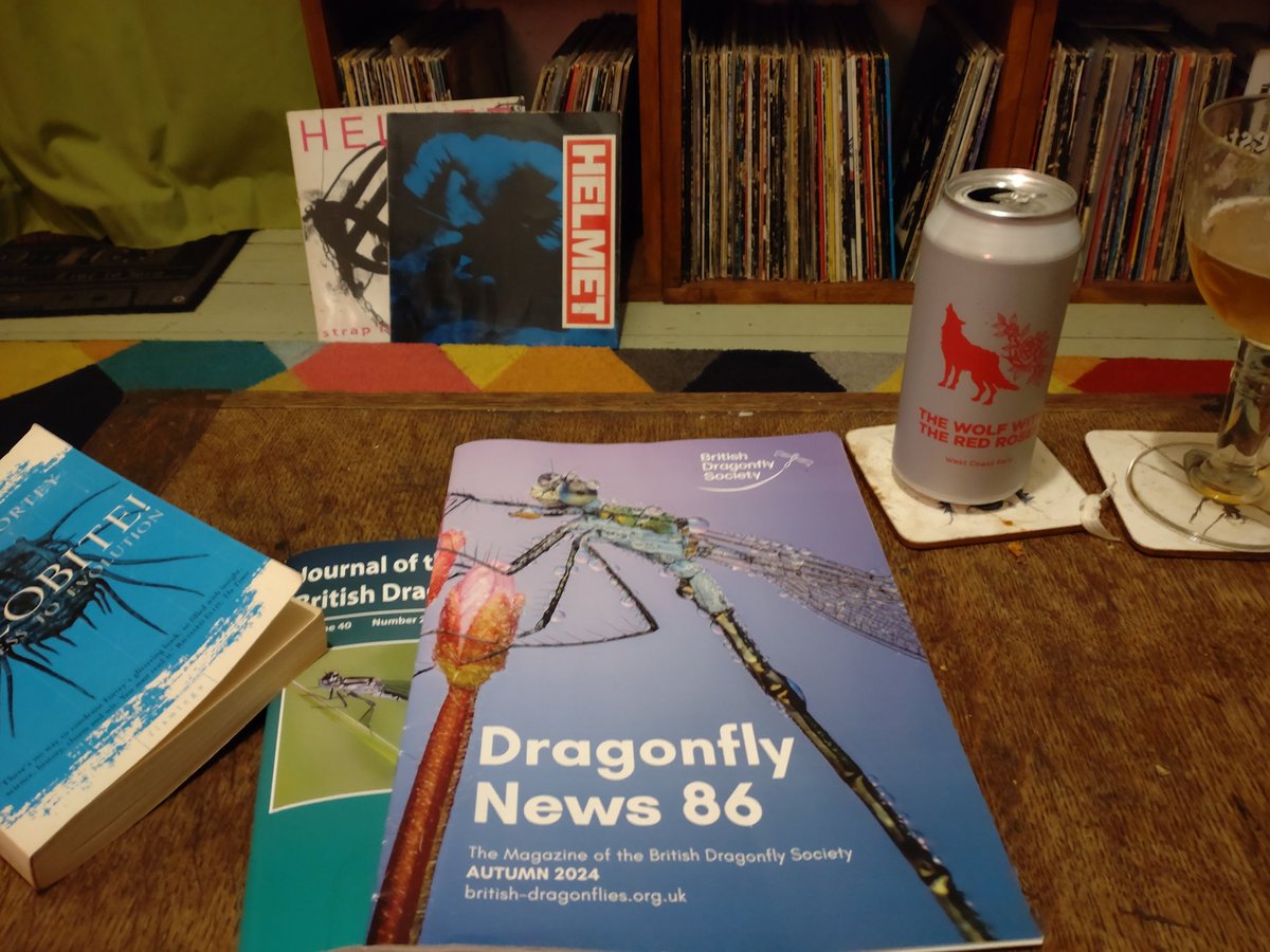 AndrewSalisbur2's tweet image. Friday 🍺 beer @PomonaIsland, read @BDSdragonflies and music 🤘 @helmetmusic