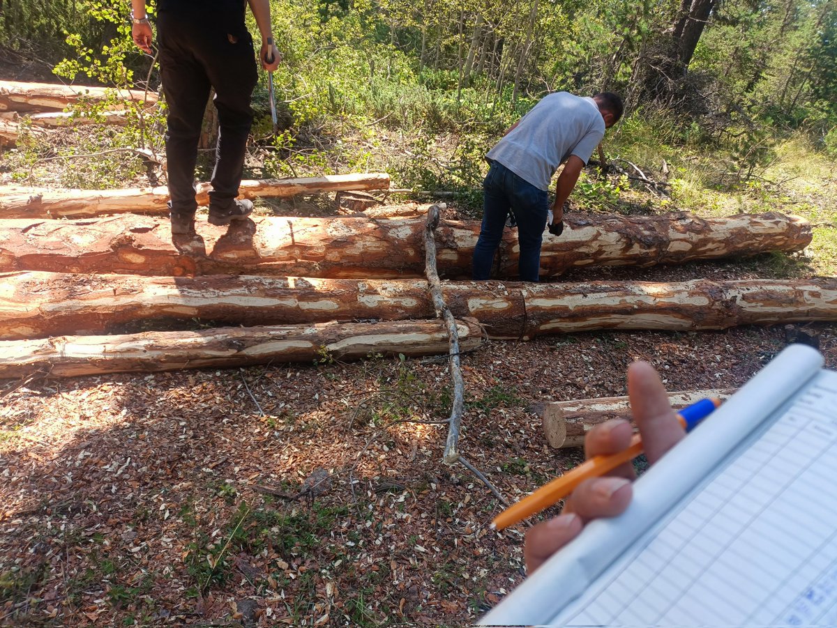 Biz hazırız devlete millete faydalı olmak için gelecek nesillere alacağımız emaneti en iyi şekilde bırakmak için yetiştirildik. Sayın <a href="/RTErdogan/">Recep Tayyip Erdoğan</a> <a href="/ibrahimyumakli/">İbrahim Yumaklı</a> <a href="/memetsimsek/">Mehmet Simsek</a> müjdeli atama haberleri bekliyoruz. #YeşilVatanSavunması