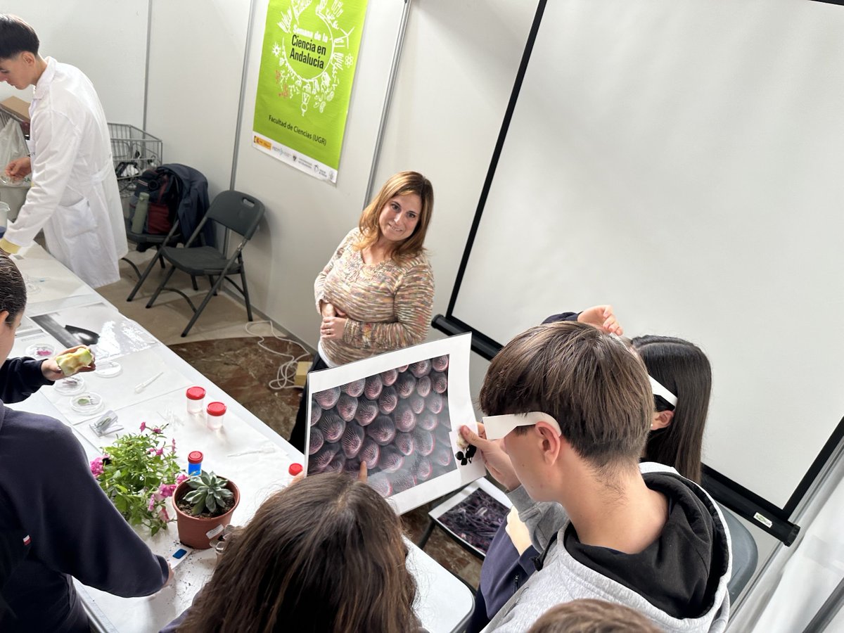 Lab of Surface and Interface Physics-UGR tweet media