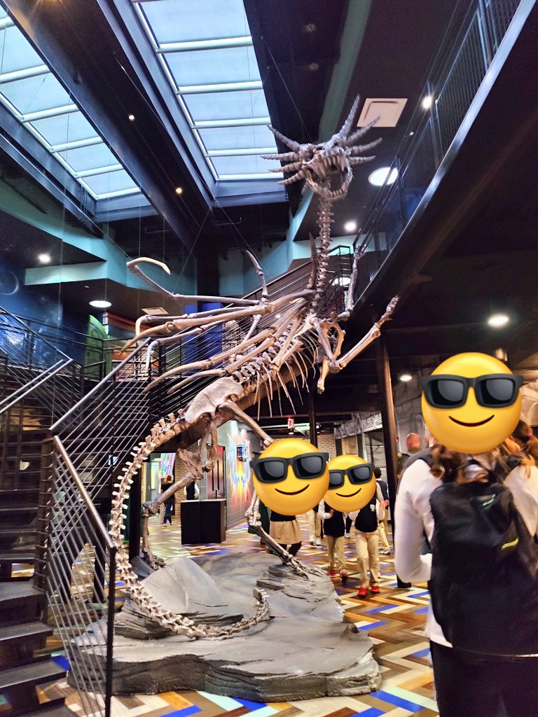 Luca Barcenilla tweet media