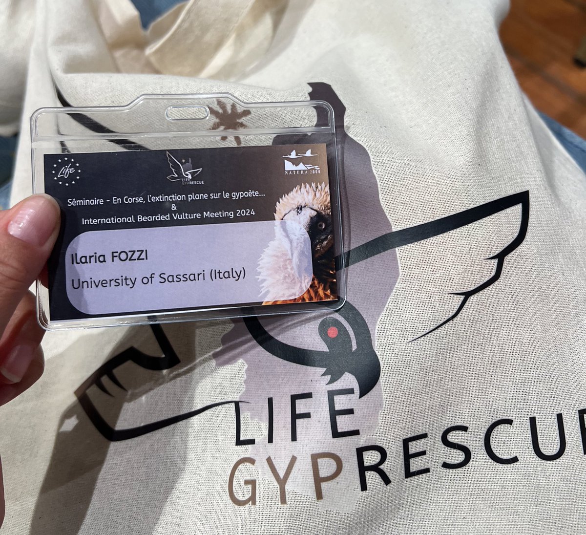 lullula_3's tweet photo. Attending the #internationalbeardedvulturemeeting in Ajaccio - Corsica
 @4Vultures https://t.co/D763RLcn4R