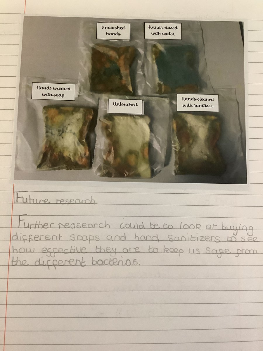 FaringtonSchool's tweet photo. In Year 6 Science, we have been looking at micro-organisms and investigating how to keep ourselves safe against harmful micro-organisms. Our investigation showed us that soap and hand sanitiser were equally effective in fighting against harmful bacteria. https://t.co/JWwfXWoMFK