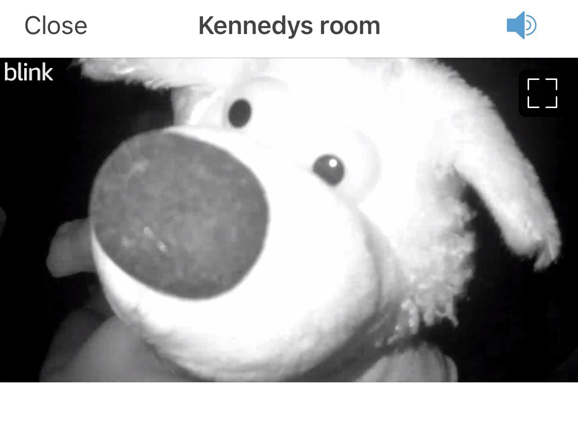 When I check the camera and Orbit is there to say hello to me