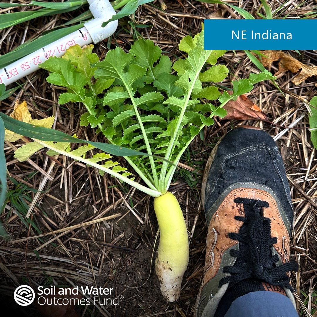 Soil and Water Outcomes Fund tweet media