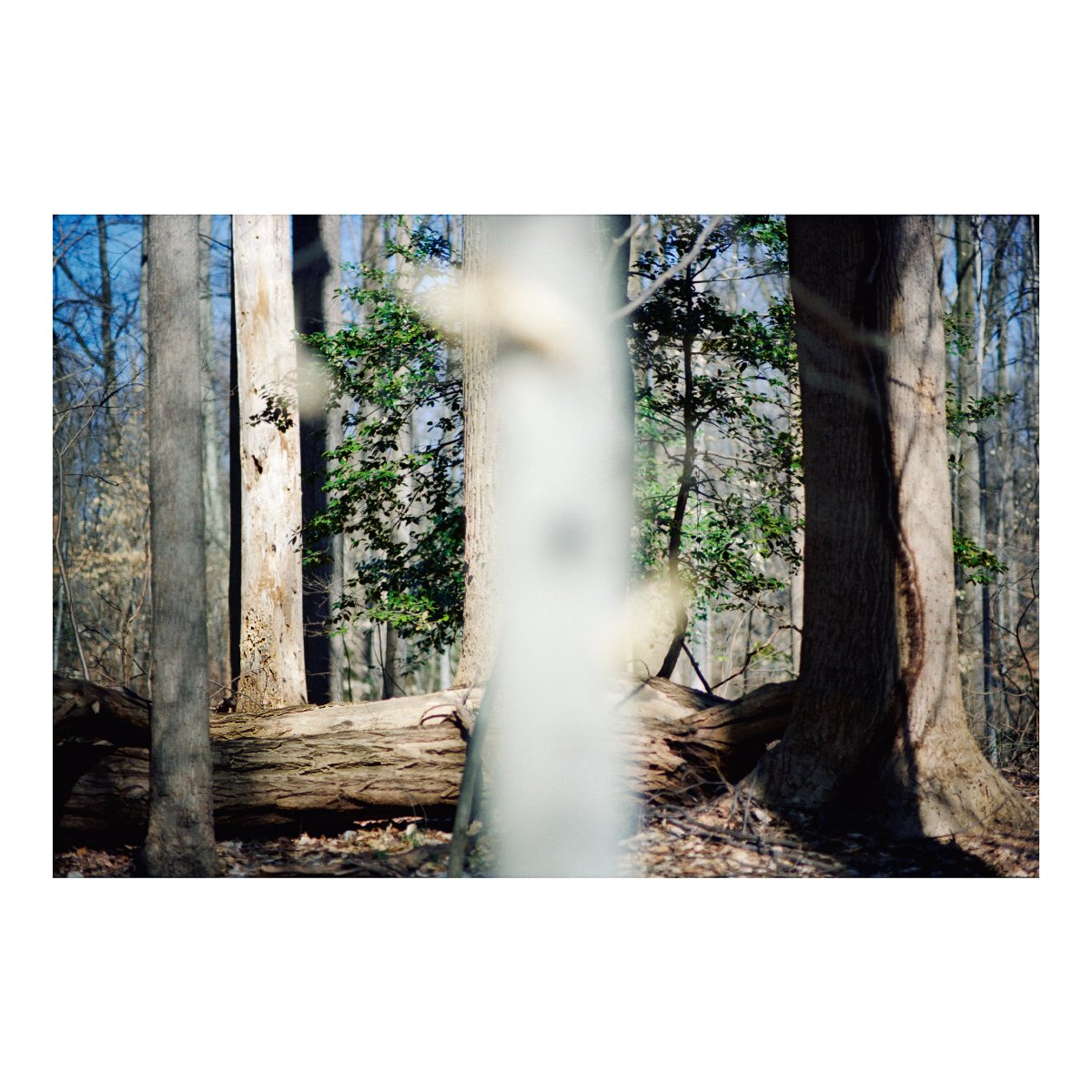 New Beatrice Dillon album is still really doing it for me. Heard it a handful of times now, one of my favs of the year.

open.spotify.com/album/7baxFNhC…