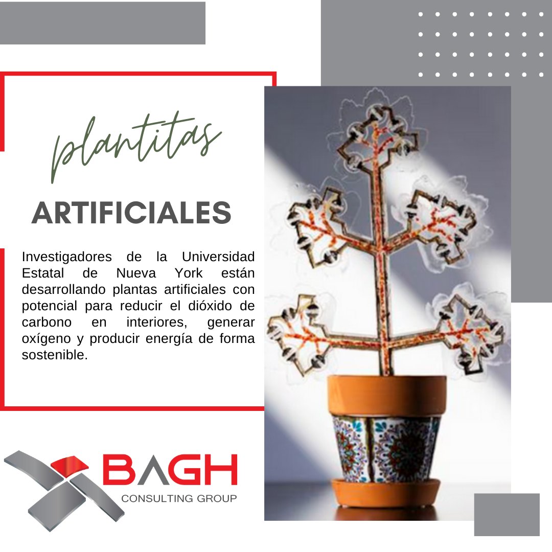 BaghGroup's tweet photo. ¿Se te ha muerto alguna plantita? 🌿🪴😵‍�� viernes de saber algo nuevo 🤓

#InnovacionSostenible #TecnologiaVerde #PlantasArtificiales #CalidadDelAire #EnergiaRenovable #InvestigacionCientifica #ReduccionDeCO2 #SostenibilidadAmbiental #BAGH

👉 https://t.co/AL6lk6q2T1 https://t.co/RAVyPcMpSe