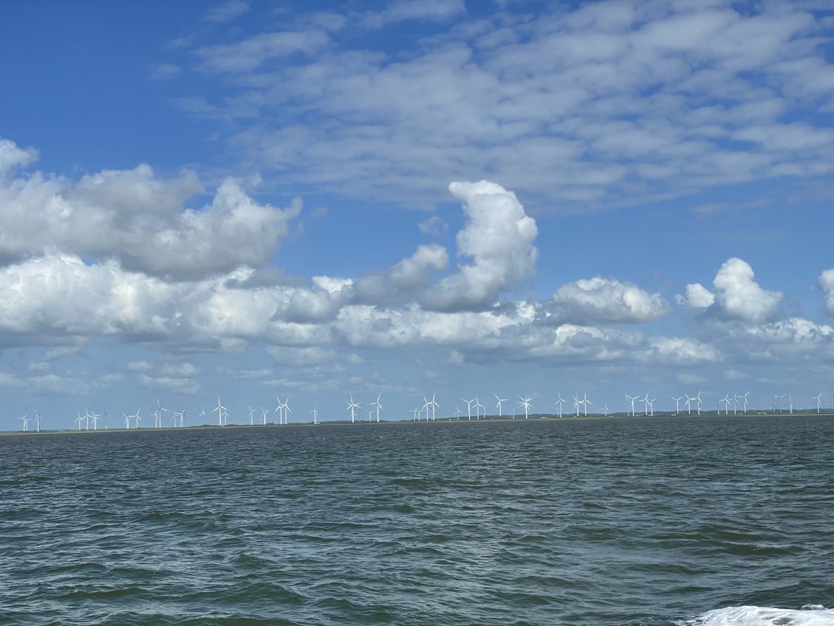 Renate Künast tweet media