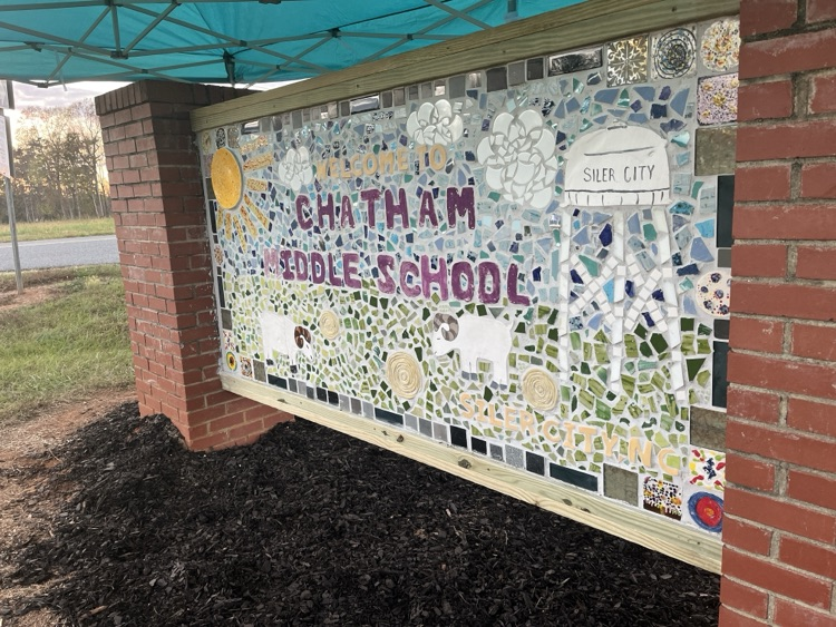 ChathamCoSch's tweet photo. We were blown away by the artistry now on display at @ChathamMiddle, as the CMS NCMA AIM Art Club held an unveiling of the new school mural they've been creating for months! What a beautiful representation of the city and the school. 💜💛 #OneChatham #CMS family https://t.co/G4JNlRpuyh