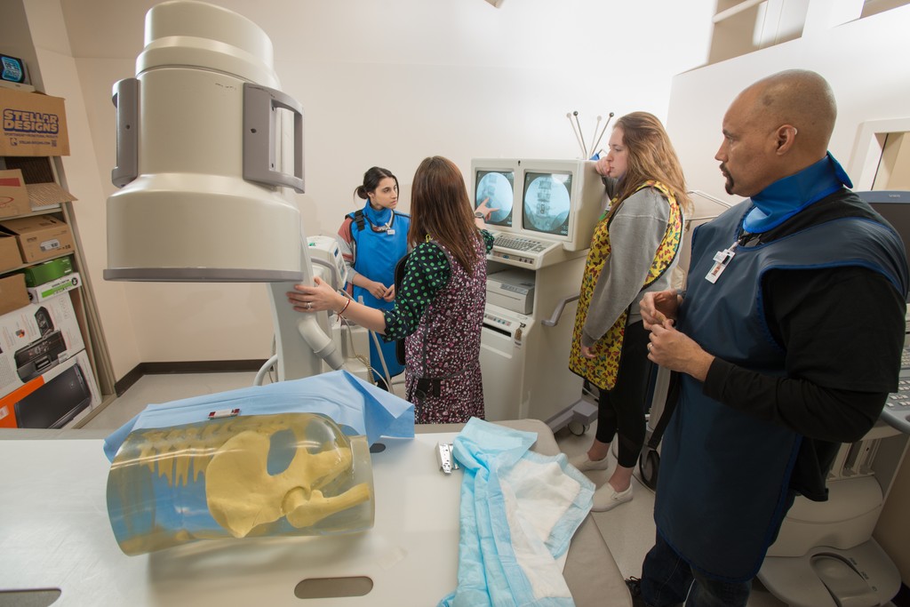 UAACOH's tweet photo. Happy National Rad Tech Week! 
🙌 Our COH  Rad Tech program gives students the hands-on skills they need to make a difference in healthcare. Join us in celebrating our amazing Rad Tech students, faculty, and staff for the important work they do! 💚💛
#uaacoh #uaasah #RadTechWeek https://t.co/kHiA1JYslP