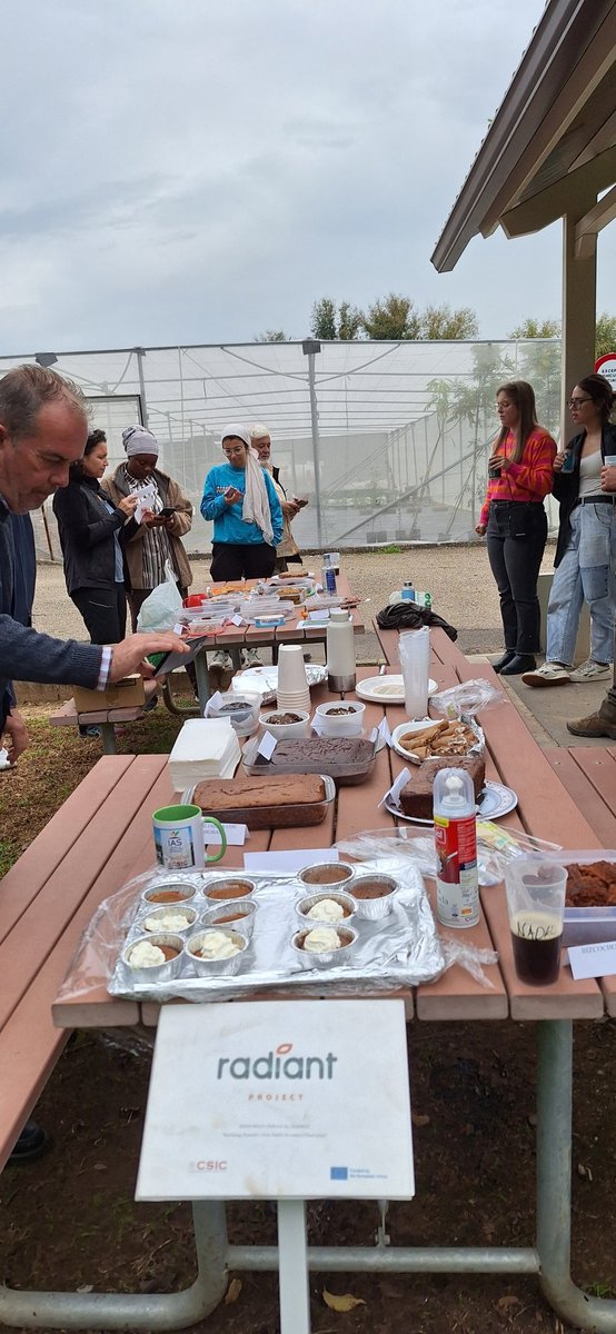 Diego Rubiales tweet media