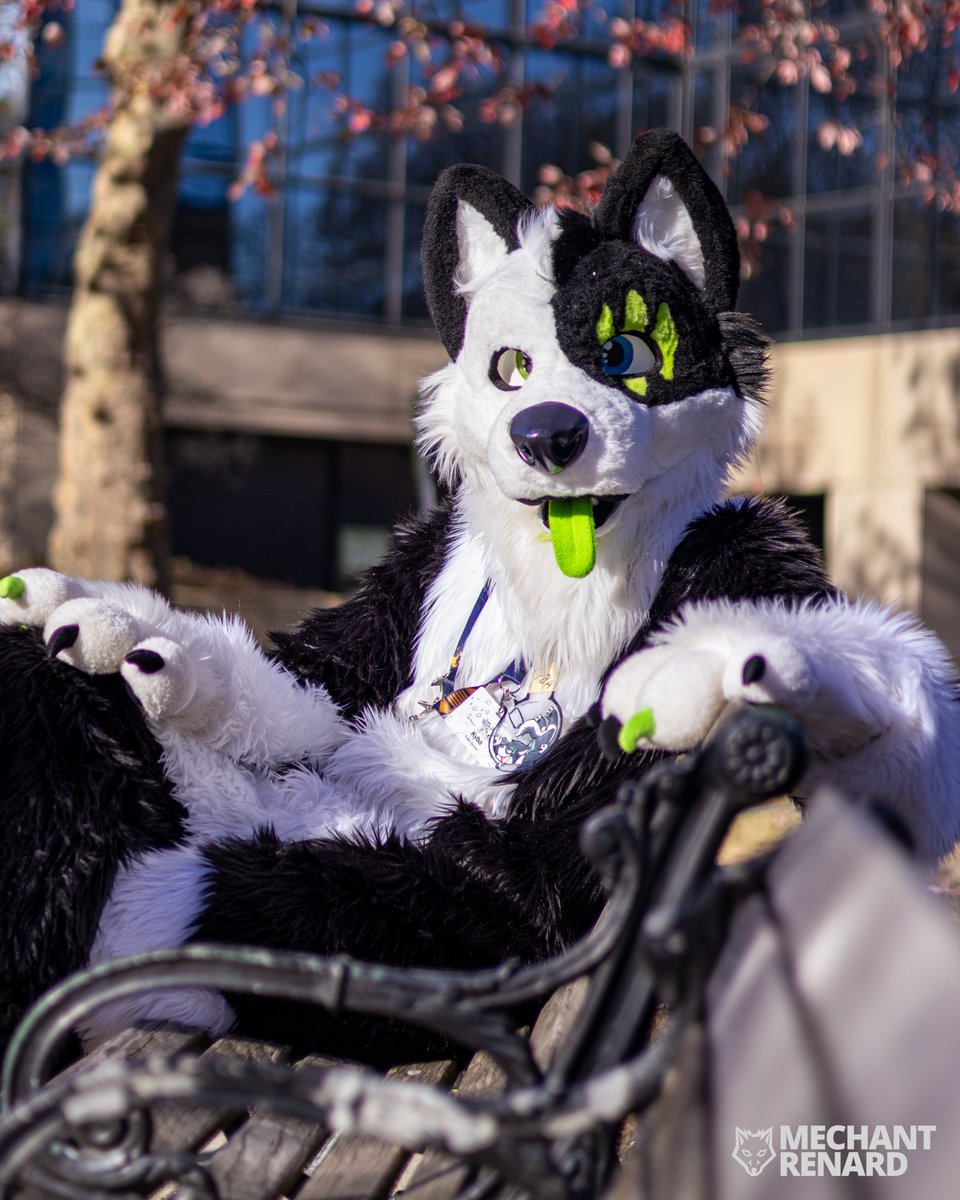 KybaCWC's tweet image. Finally It's #FursuitFriday ^^
Do you want to joint me?
🪡 Me ^^ CwC
📸 @mechantrenard
#Furpoc2024