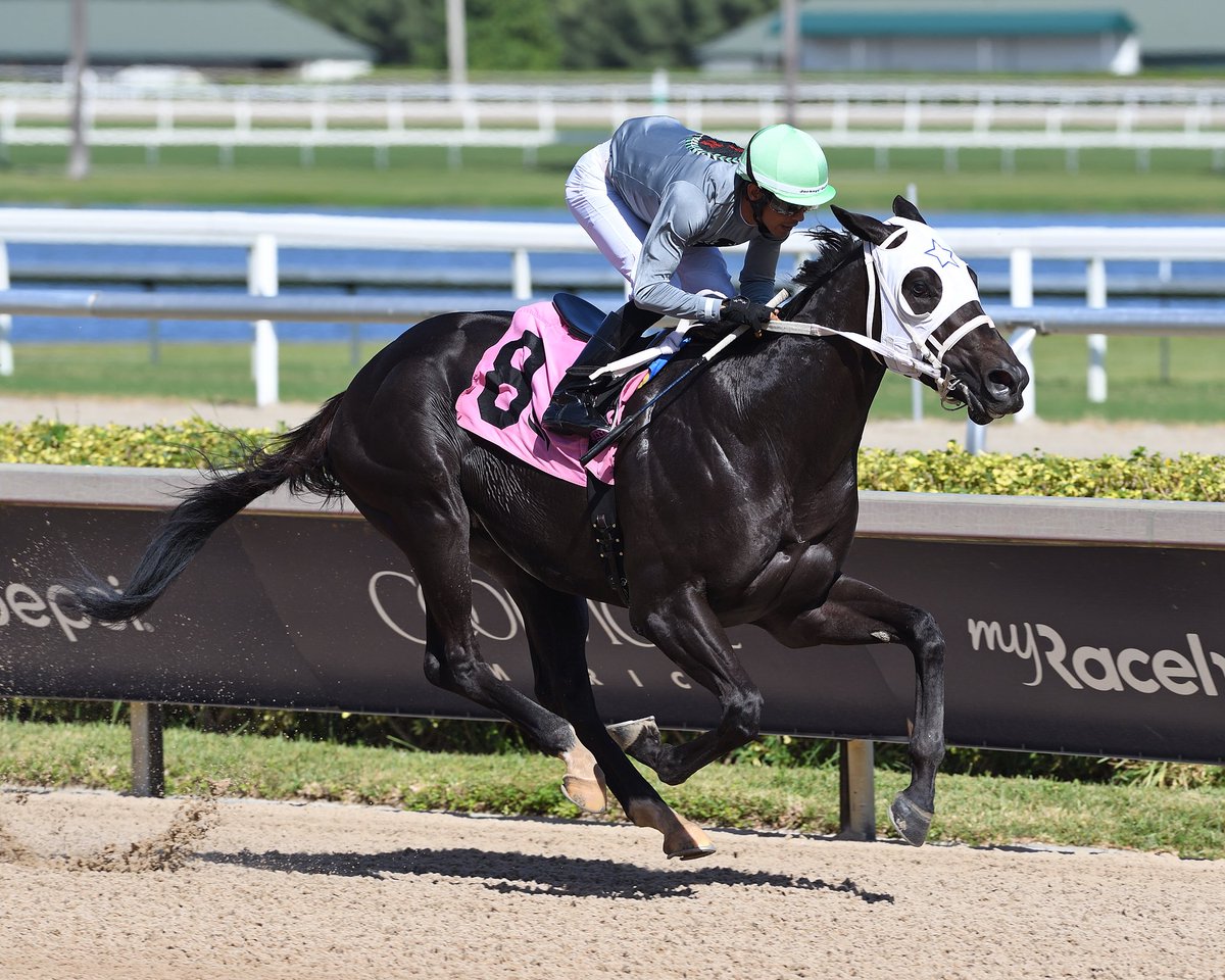 Gulfstream Park tweet media