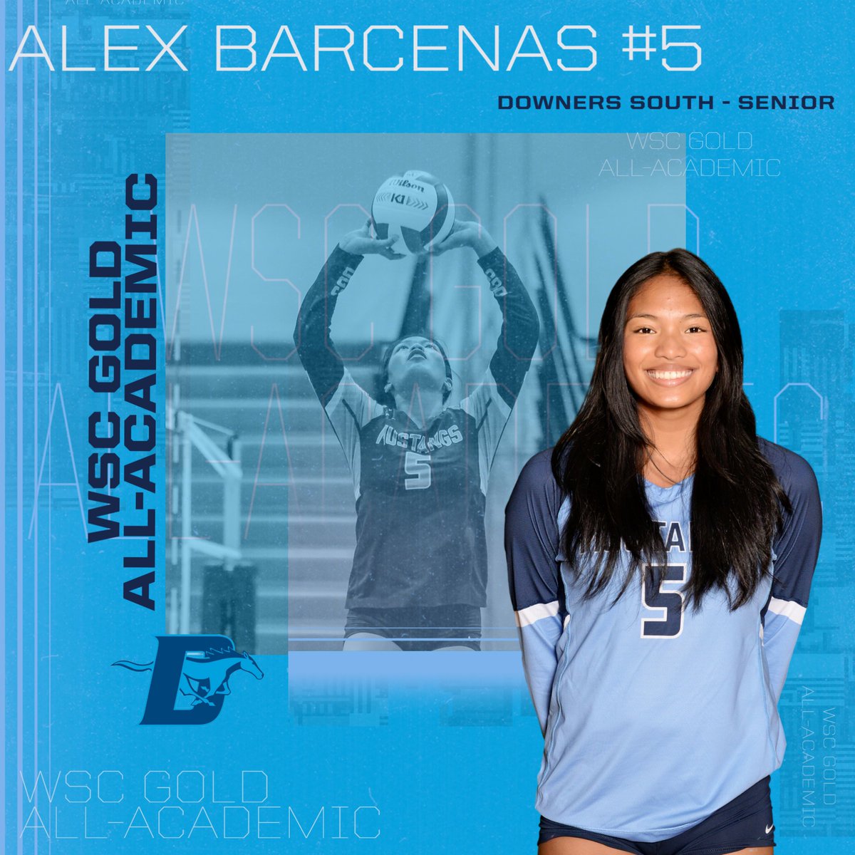 Downers Grove South Girls Volleyball tweet media