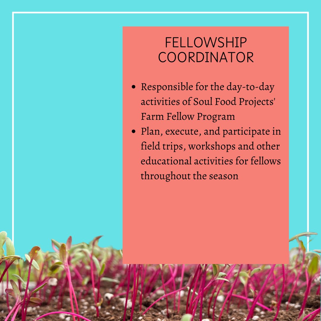 SoulFoodProject tweet media