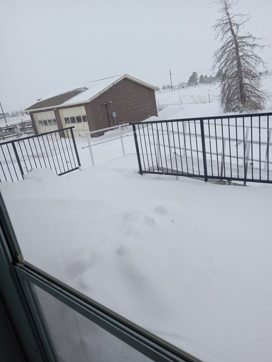 Day 4 of 4 day winter storm, been plowed once( driveway), went thru 2.5 ft snow to clean sat. Dish x 2, while on oxygen. I am the storm.
Winter storm 2024