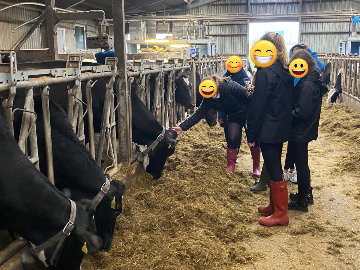 🐄 A big thank you to <a href="/rhetfvci/">Rhet Forth Valley</a> for organising a trip to Norrieston farm for the geographers at <a href="/LarbertHigh/">Larbert High School</a>,  and  to  the  owners and staff who  have really helped their understanding of the changes in farming across rural Scotland, along with giving lots of new career ideas!🚜
