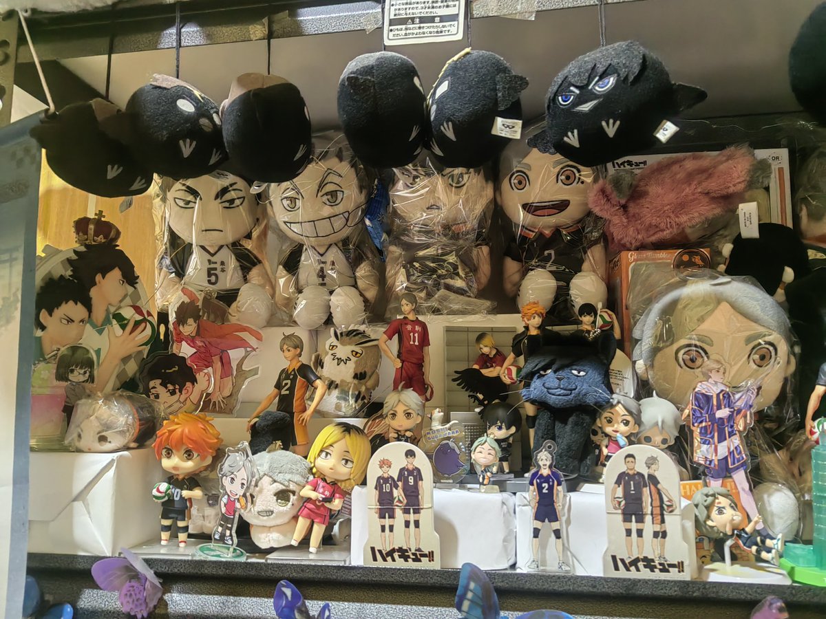 winkle_wis's tweet photo. Other for sale. Some are sold https://t.co/7VZ69fETvD