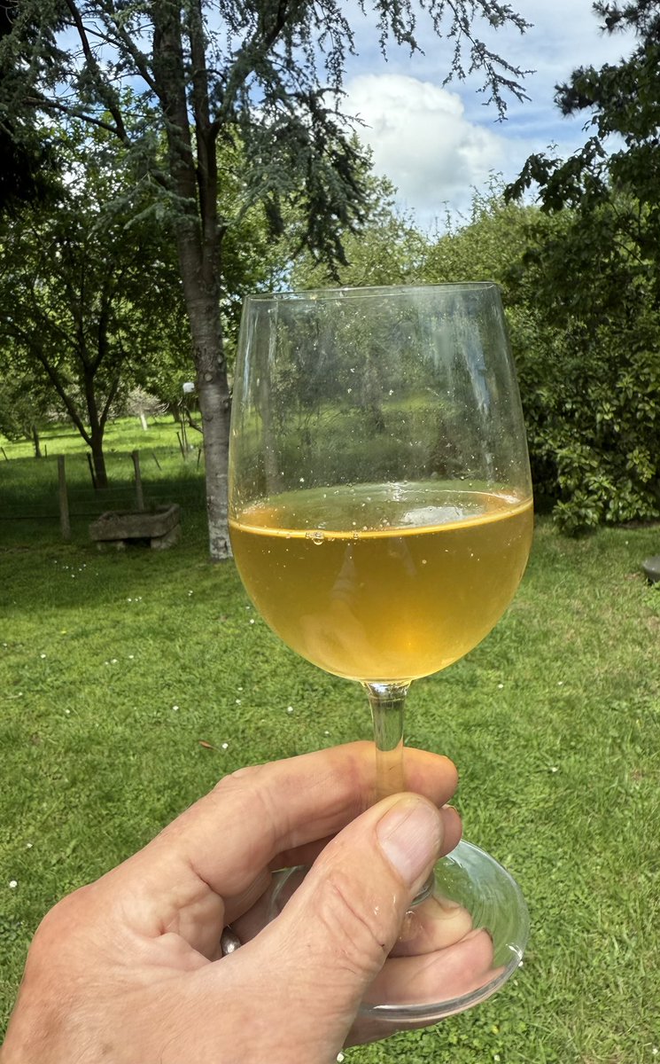 Trevor_FJ's tweet photo. Busy day at the cidery, bottling the French oaked cider and the medlar cofermented cider for their second in-bottle fermentation. Special releases for 2026. Tasting petty good now. #cider #medlar #oak #SecondaryFermentation #MethodTraditonal #FWCMA https://t.co/NyTxT9tXhy
