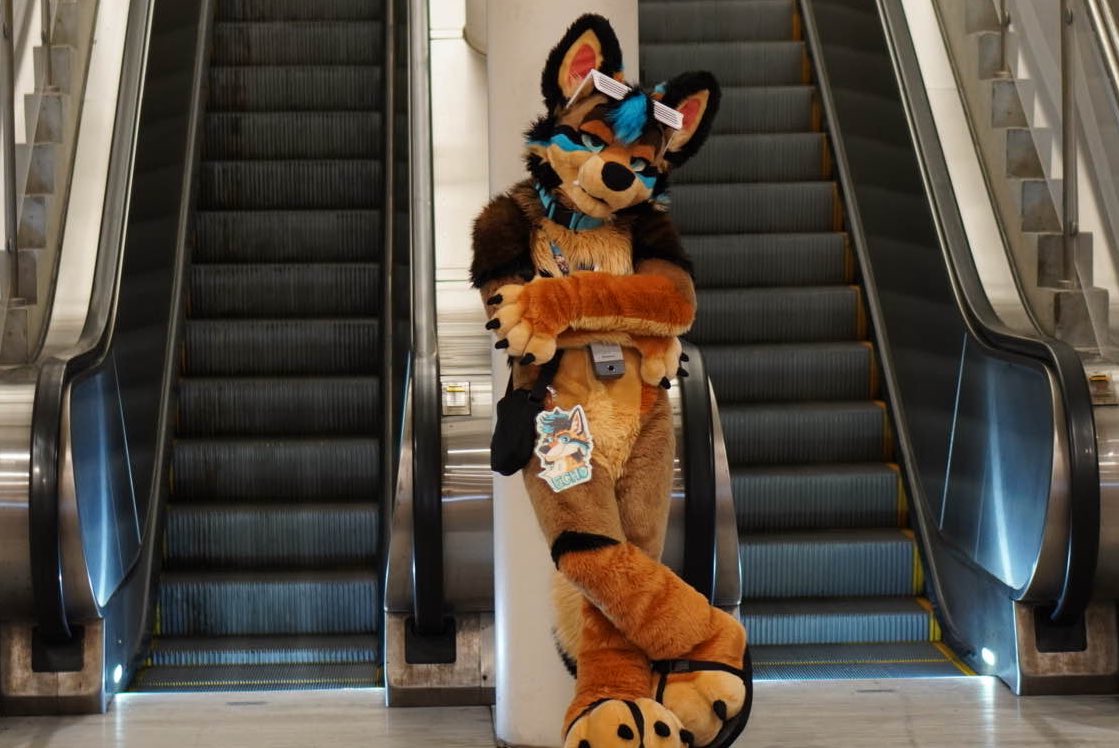 Time to step it up this #FursuitFriday 

🪡: <a href="/WildDogWorks/">WildDogWorks.com on 🦋</a> 
📸: <a href="/Muffintakes/">Muffin</a>