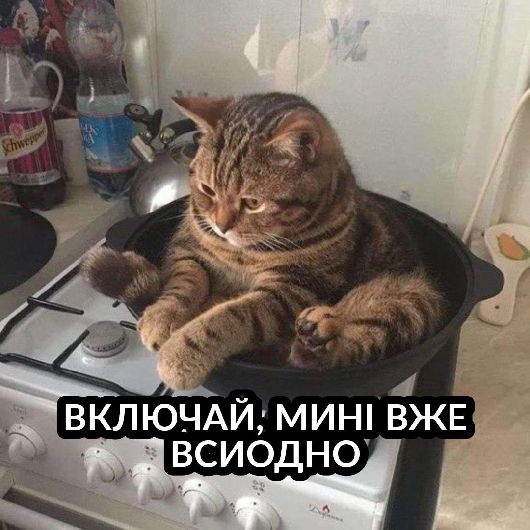 math_ccat's tweet photo. @nuViTa_photo https://t.co/0PuSgwi6ql