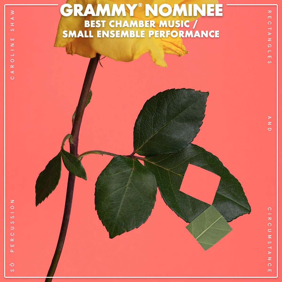 Nonesuch Records tweet media