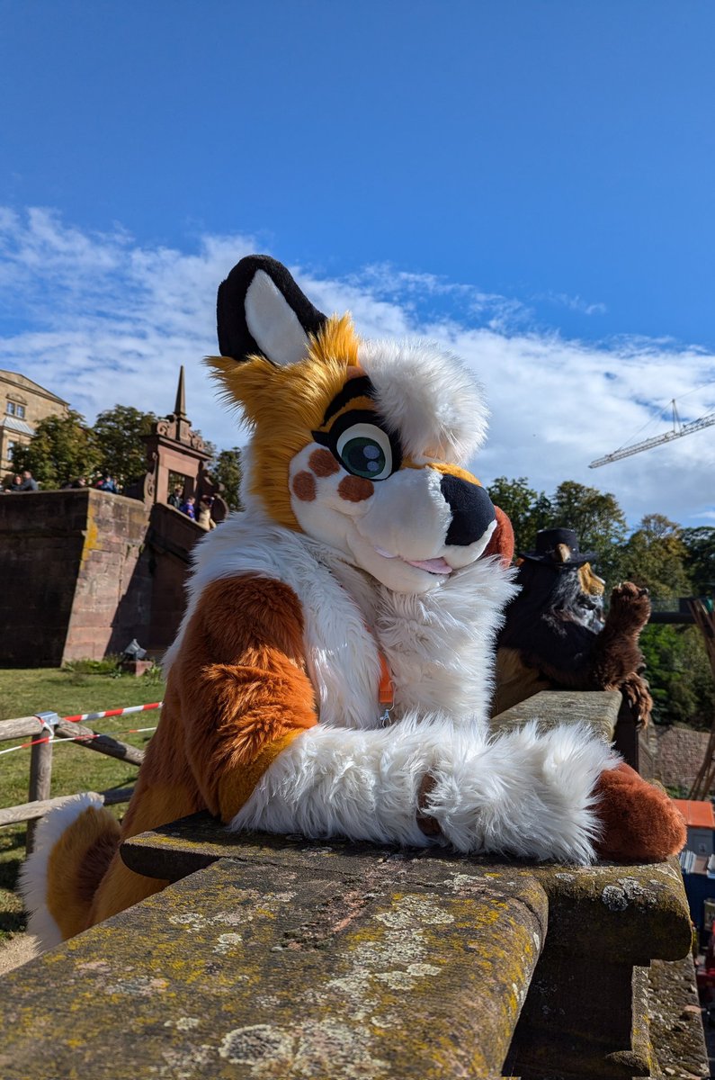 Daydreaming towards the weekend be like... ✨ 

#FursuitFriday