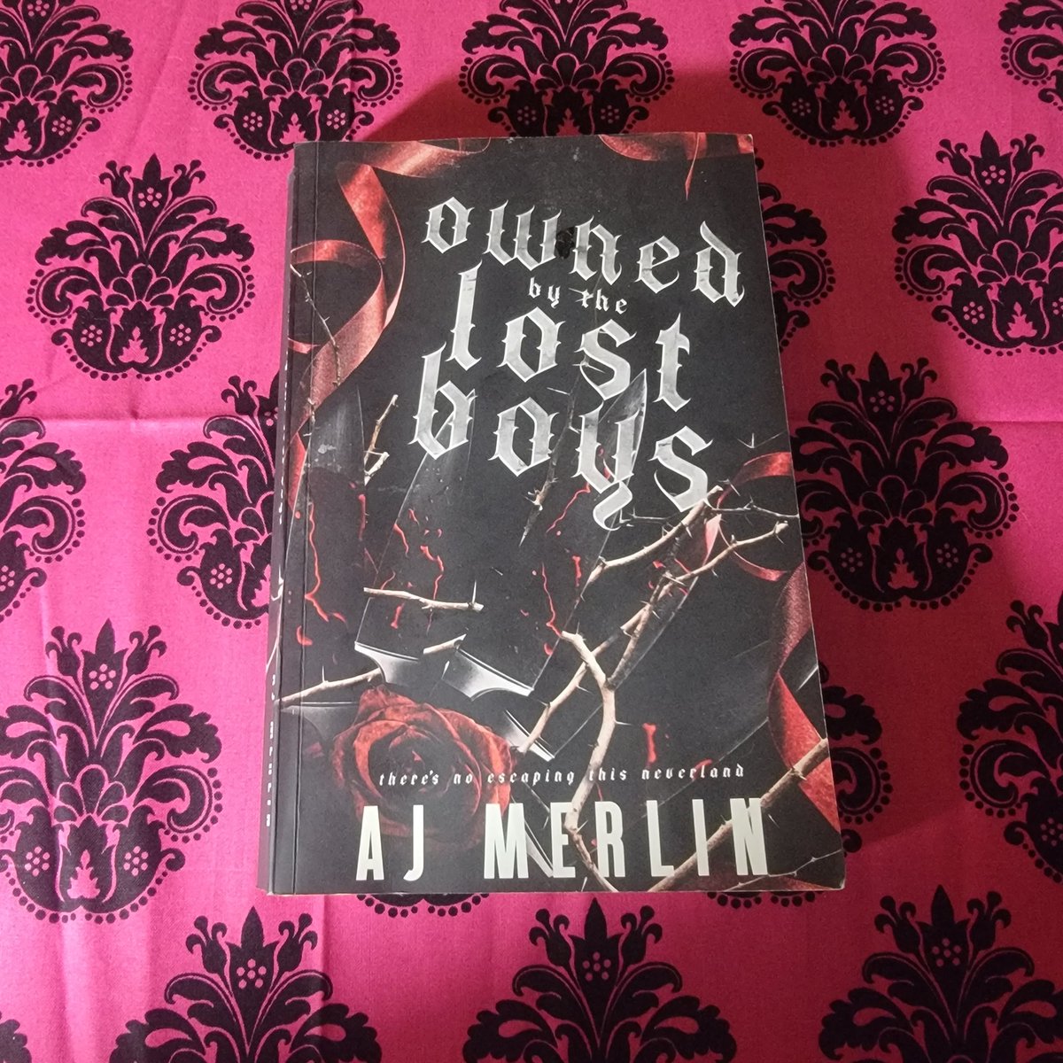 Book Review
 
Book name: Owned by the Lost Boys 
Author: AJ Merlin 
Genre: Dark Romance 
 
My Rating: 3/5
My Review: Check Goodreads 

#bookreviews #booktwt #bookx