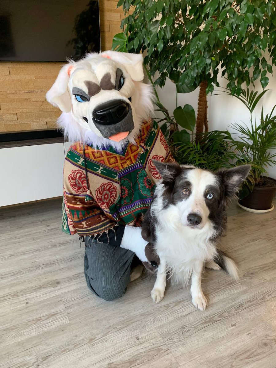 Look at this face! 🥹
#FursuitFriday 

🪡 @LomonosovFur