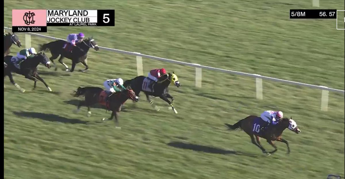 Jane Cibelli Racing (@cibelliracing) on Twitter photo Wise and Elegant wins in fine style <a href="/LaurelPark/">The Maryland Jockey Club, Inc.</a> under jockey Forest Boyce #goteam Wise and Elegant wins in fine style <a href="/LaurelPark/">The Maryland Jockey Club, Inc.</a> under jockey Forest Boyce #goteam