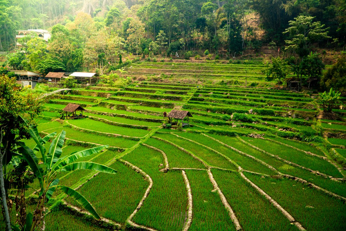 faisalfadlys's tweet photo. Kebiasaan buruk kalo foto landscape pake bukaan besar! https://t.co/RnaaPCqOFS