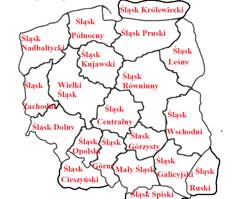 P.Łukasz Kohut (CEP) chce mieć naród śląski, narodowcy chcą Ślązaków spolonizować - a ja odwrotnie: chcę przyłączenia Polski do Śląska: na Śląsku rządzą mężczyźni, tam nie ma 52 płci, tam ceni się uczciwą pracę, a nie głupią urzędniczą gadaninę... Silesianizacja Polski - ot, co!!