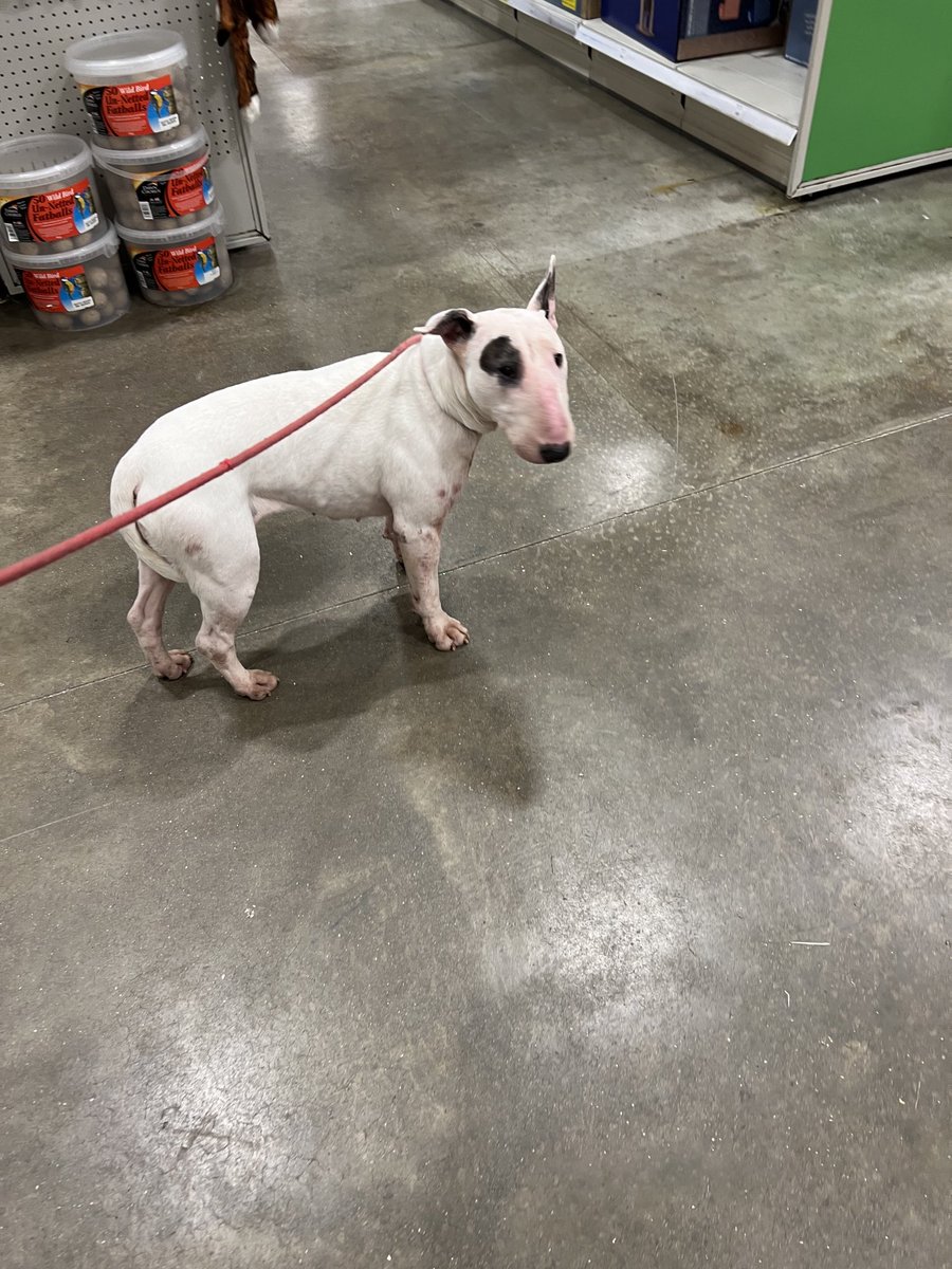 me julie M tweet media