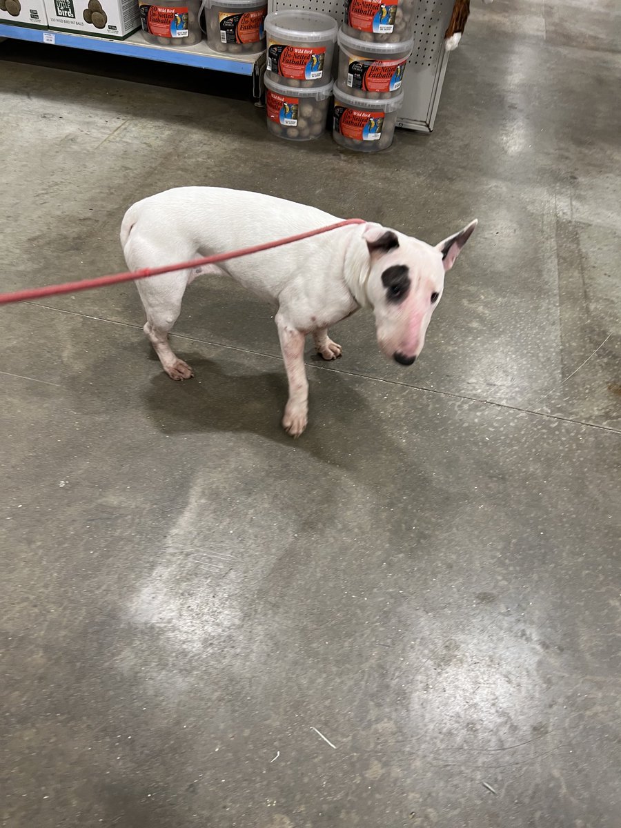 me julie M tweet media