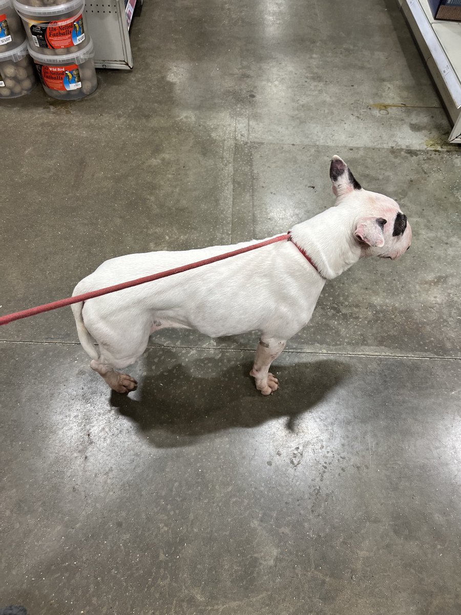 me julie M tweet media