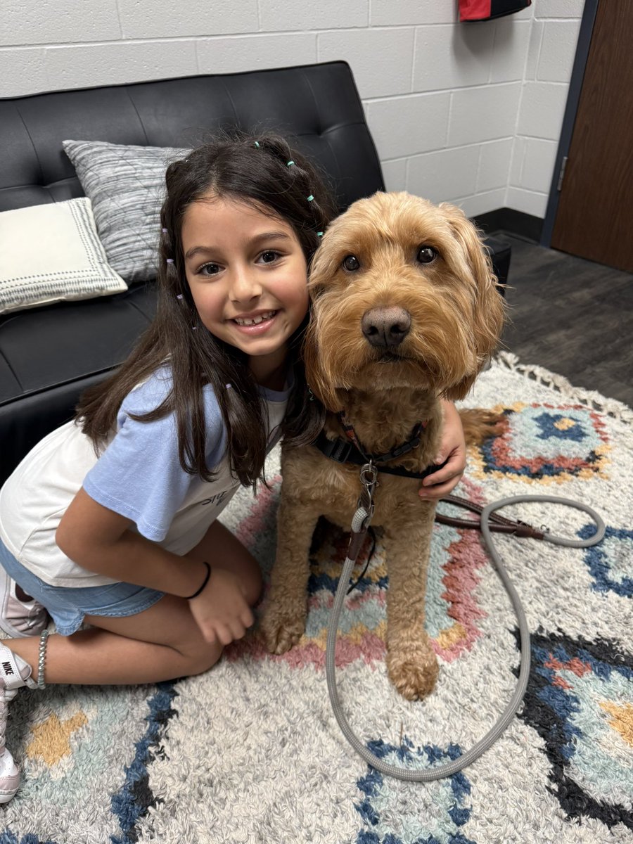 George the Comfort Dog tweet media