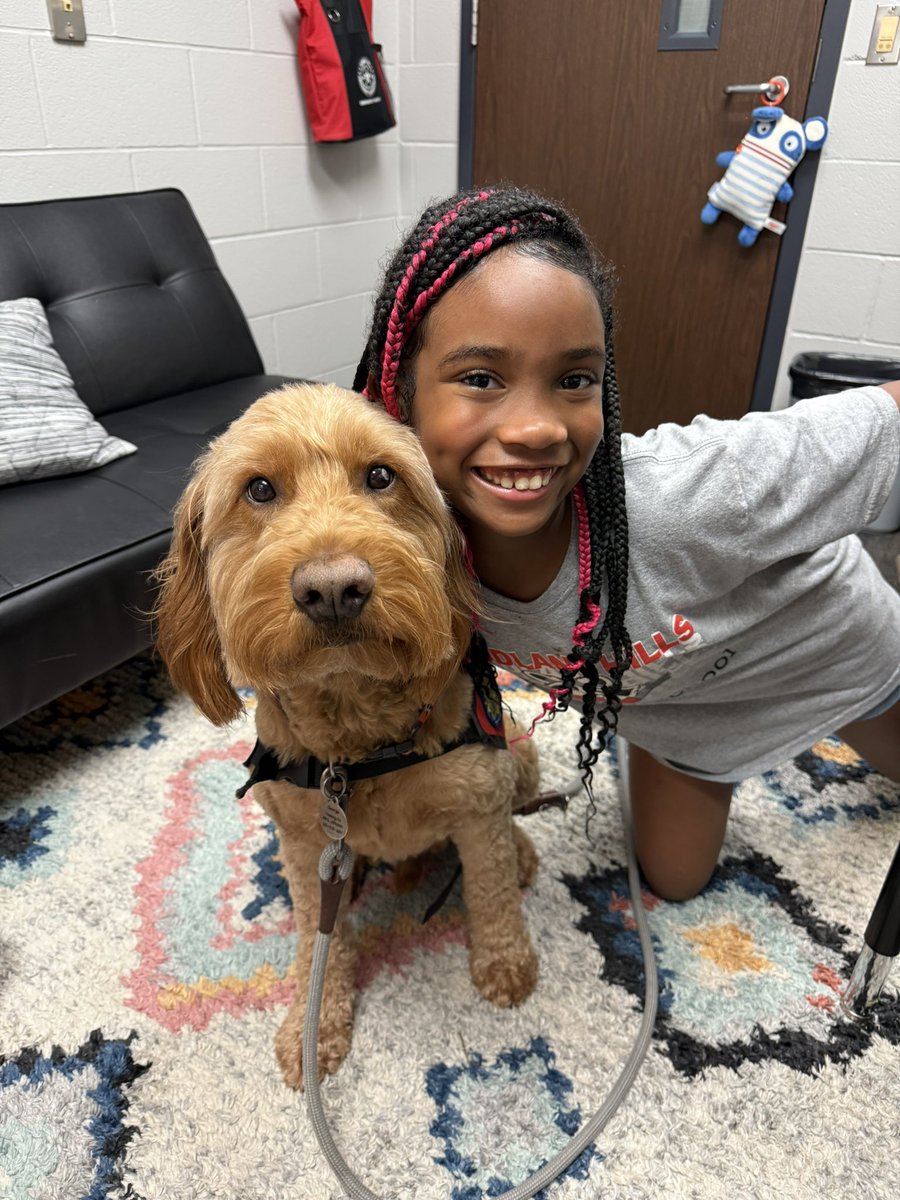 George the Comfort Dog tweet media