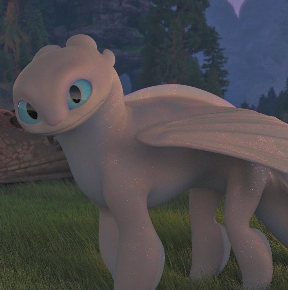 Toothless tweet media