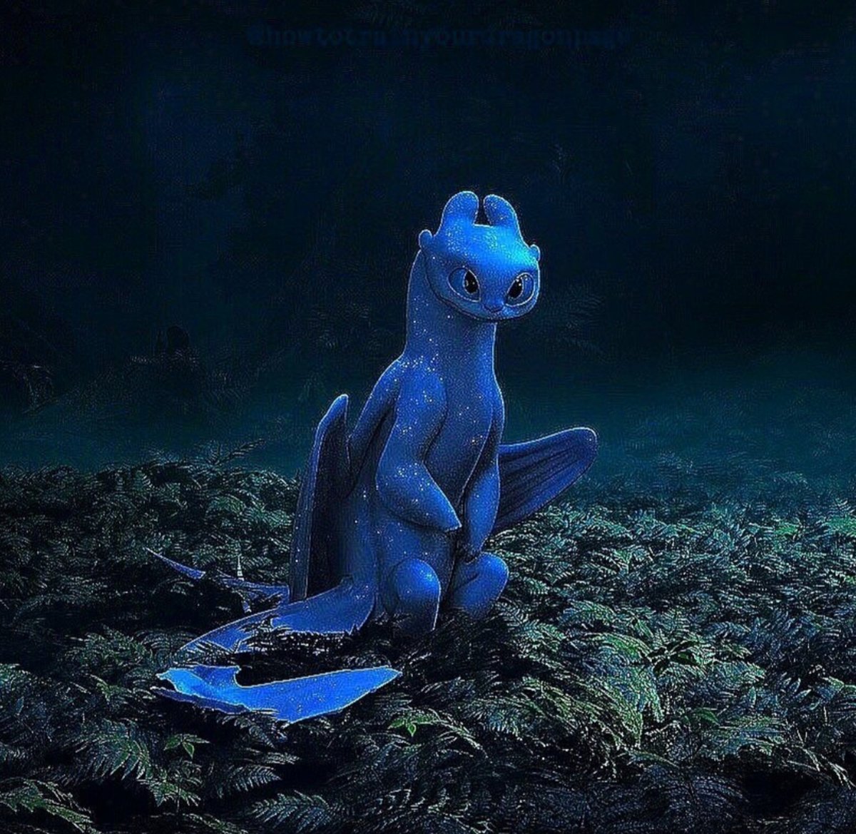 Toothless tweet media