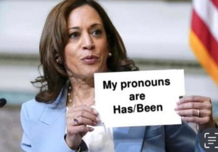 rey_lowe's tweet image. Reuters we voted down and unqualified economic moron with the insane ideas this turn California into a place I would no longer visit.  If you want to put out real news you would question why Trump received 74 mi votes same as 2020 Harris went back to 63 mil #Proves Cheating 2020