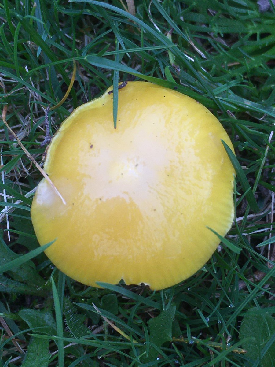 Tim Osborne tweet media