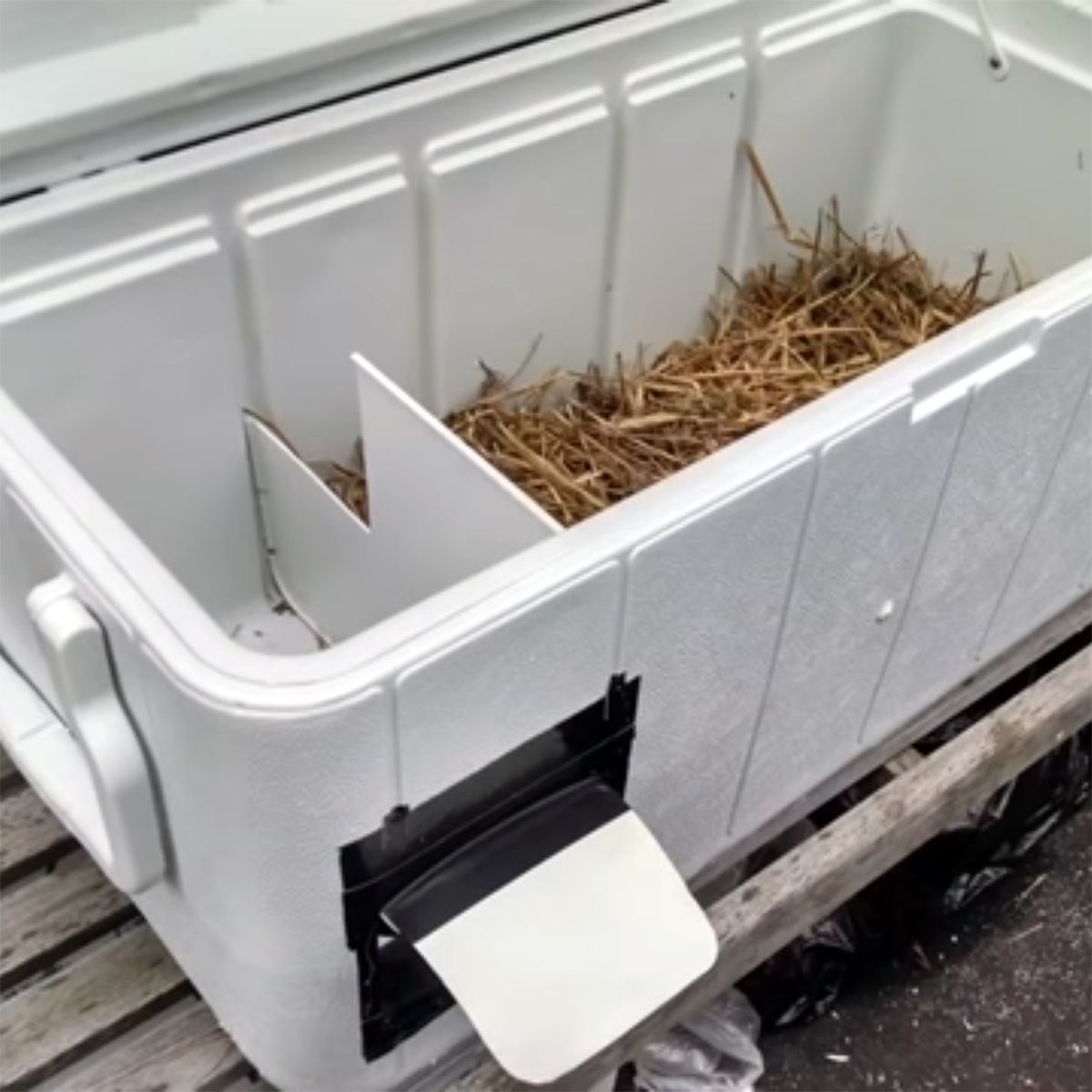 Learn how to build Design 4: Deluxe Simple Ice Chest Shelter, plus 3 other kinds of simple winter shelters for #feralcats #communitycats, at free #webinar on 11/13. Register: buff.ly/48vvaan ❄️🏠💙🐱🐈🐾 #tnr <a href="/Bideawee/">Bideawee</a> #WinterShelterWednesday