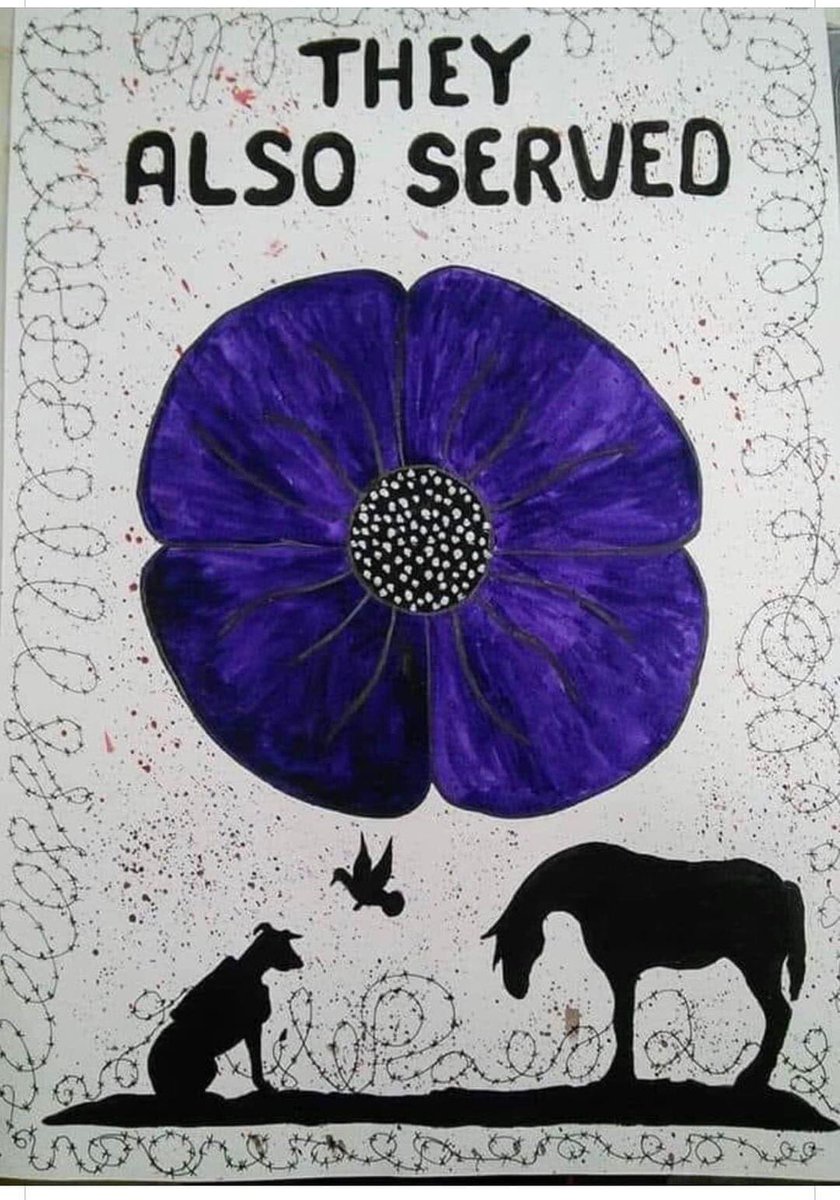 Remembrance Day should also be time for reflection for all the animals sacrificed in the name of human conflicts