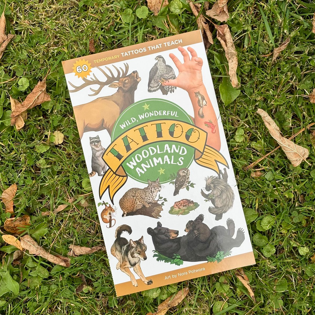 Storey Publishing tweet media